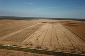 Farm and Ranch in Roseau County, Minnesota