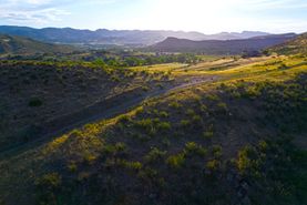 Timberland Property in Larimer County, Colorado