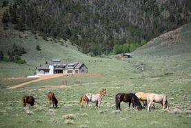 Farm and Ranch in Albany County, Wyoming