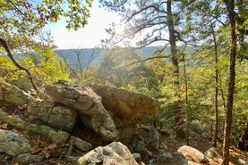 Undeveloped Land for sale in Pushmataha County, Oklahoma