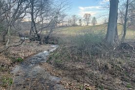 Recreational Property in Wilkes County, North Carolina