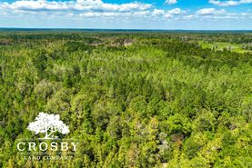 Undeveloped Land in Allendale County, South Carolina