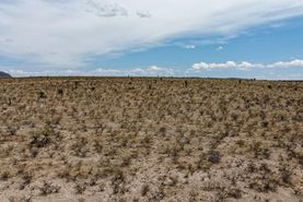Timberland Property in Hudspeth County, Texas