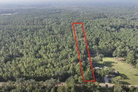 Farm and Ranch in Washington County, Florida