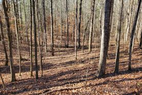 Farm and Ranch for sale in Elmore County, Alabama