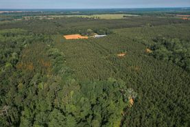 Farm and Ranch in Randolph County, Georgia