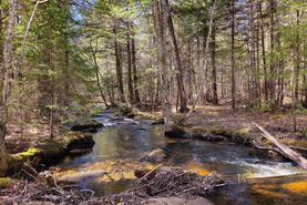 Farm and Ranch in Fulton County, New York