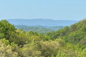 Timberland Property for sale in Hancock County, Tennessee
