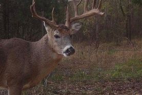 Farm and Ranch for sale in Atoka County, Oklahoma