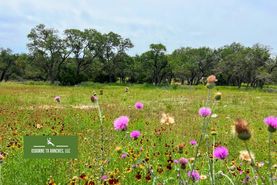 Farm and Ranch for sale in Gillespie County, Texas