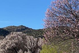 Timberland Property in Lincoln County, New Mexico