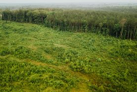 Farm and Ranch in Madison County, Mississippi