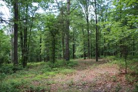 Farm and Ranch for sale in Frederick County, Virginia