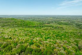 Timberland Property in Independence County, Arkansas