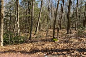 Timberland Property for sale in Franklin County, Massachusetts
