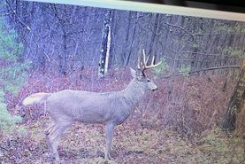 Farm and Ranch in Jackson County, Wisconsin