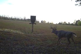 Timberland Property in Edmonson County, Kentucky