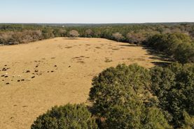 Farm and Ranch in Mobile County, Alabama