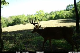 Farm and Ranch in Howard County, Missouri