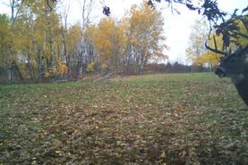 Recreational Property in Adams County, Wisconsin