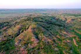 Timberland Property in Beckham County, Oklahoma