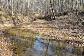 Farm and Ranch for sale in Tallahatchie County, Mississippi