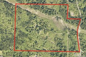 Timberland Property in King County, Washington