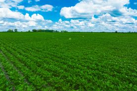 Farm and Ranch in Union County, Ohio