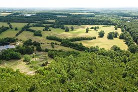 Farm and Ranch in Lowndes County, Mississippi