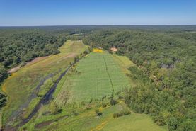 Farm and Ranch for sale in Wayne County, Missouri