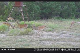 Recreational Property for sale in Erath County, Texas