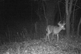 Farm and Ranch in Buffalo County, Wisconsin