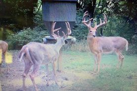 Farm and Ranch in Harrison County, Kentucky