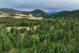 Recreational Property in Powell County, Montana