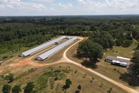 Farm and Ranch in Conecuh County, Alabama