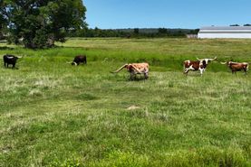 Recreational Property in Sequoyah County, Oklahoma