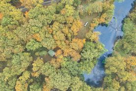 Timberland Property in Perry County, Pennsylvania