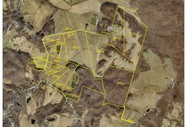 Timberland Property in Daviess County, Kentucky