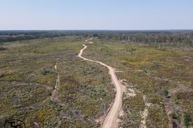 Farm and Ranch in Leake County, Mississippi