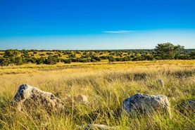 Farm and Ranch for sale in Sutton County, Texas