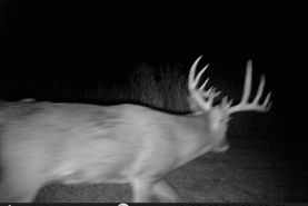Farm and Ranch in Bureau County, Illinois