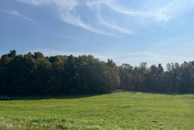 Farm and Ranch in Jefferson County, New York
