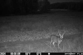 Farm and Ranch in Marinette County, Wisconsin