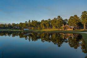 Timberland Property in Barbour County, Alabama