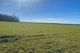 Farm and Ranch in Allegany County, New York