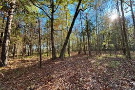 Undeveloped Land in Chickasaw County, Mississippi