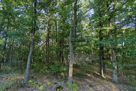 Farm and Ranch in Preston County, West Virginia