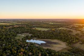 Timberland Property in Lee County, Texas