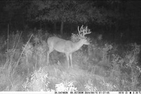 Timberland Property in Roger Mills County, Oklahoma