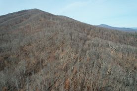 Timberland Property for sale in Franklin County, Virginia